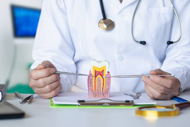 Best Emergency Cosmetic Dentistry (e.g., broken veneers) in Gray, GA
